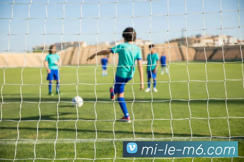 App Interface Preview