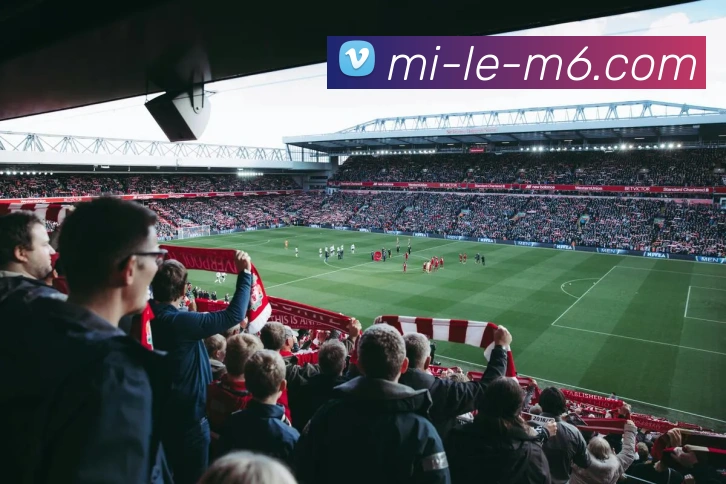 安全投注平台APP 封面图